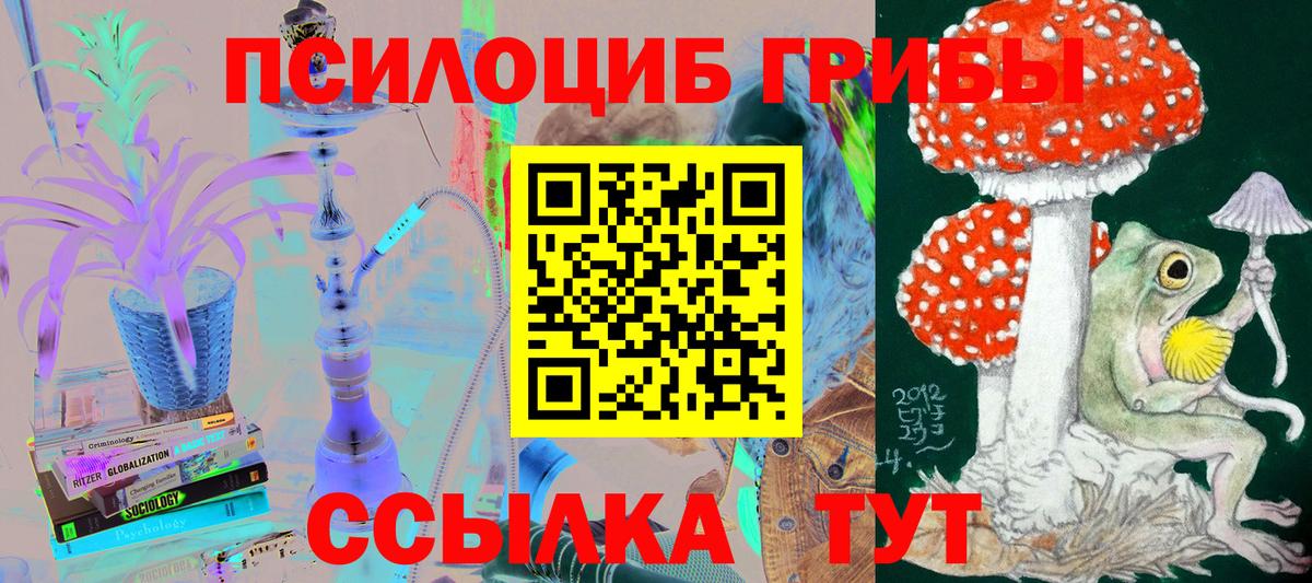 Псилоцибиновые грибы GOLDEN TEACHER Шелехов