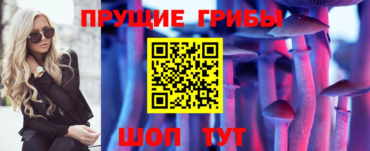 Шелехов  Псилоцибиновые грибы прущие грибы  Вход с VPN 